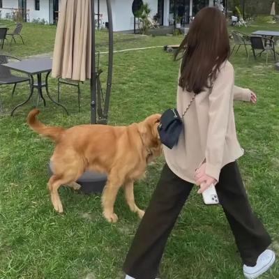 忍者神龟:变种时代
